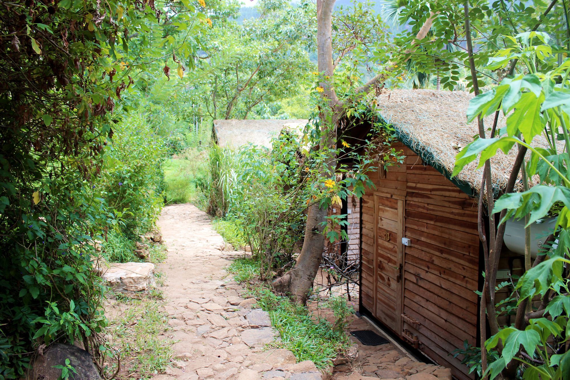 בלהולויה The Glenrock Wellness Nature Resort מראה חיצוני תמונה